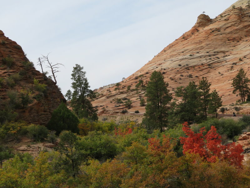 Zion Canyon: Fall Colours